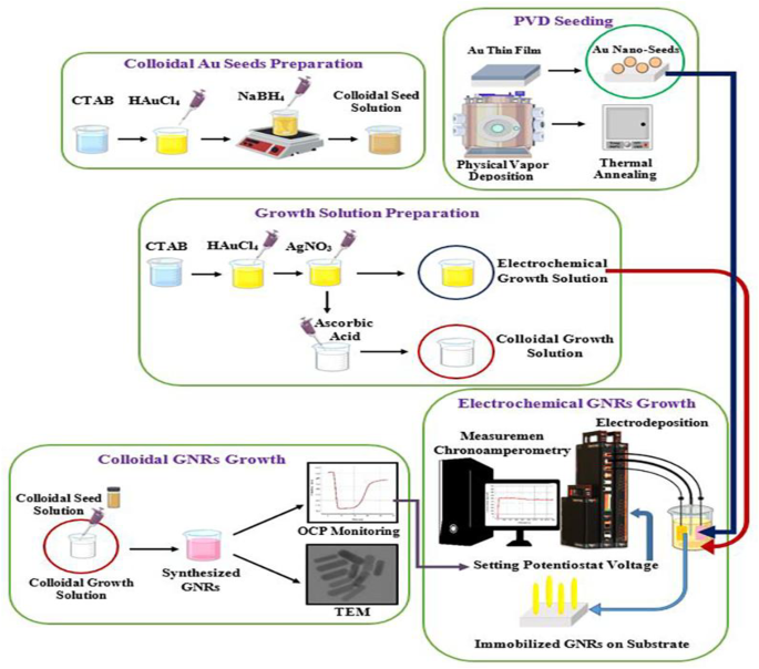 Controlled electrochemical fabrication of large and stable gold ...
