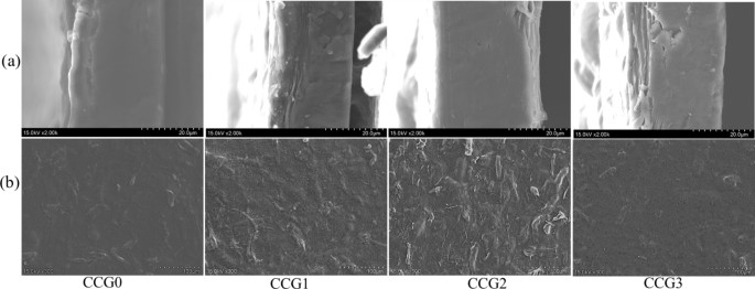 Application of green pomelo peel essential oil-based carboxymethylcellulose coatings reinforced with nano chitosan and nano cellulose fibers during th