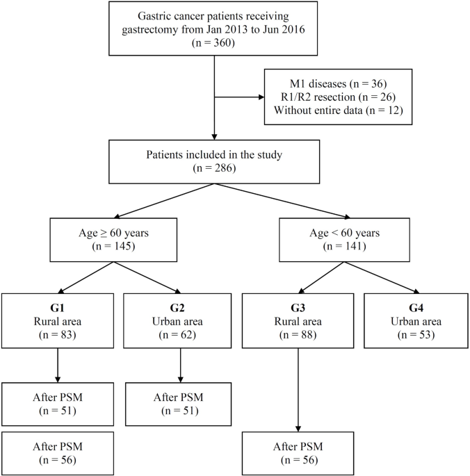 Disparities in overall survival of gastric cancer patients after radical gastrectomy: an age and rural-urban residence-based cohort study with propensity score matching analysis