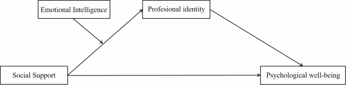 Emotional intelligence moderated the mediating effect of professional ...