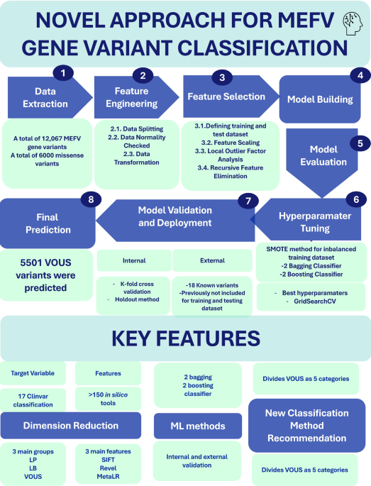 A novel seven-tier framework for the classification of MEFV missense variants using adaptive and rigid classifiers A novel seven-tier framework for the classification of MEFV missense variants using adaptive and rigid classifiers