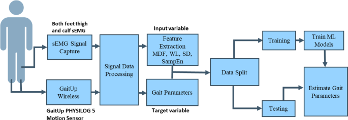 Estimating gait parameters from sEMG signals using machine learning ...