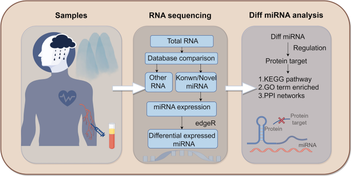 MicroRNA profiling reveals novel biomarkers for cardiovascular and psychological health in plateau psycho CVD MicroRNA profiling reveals novel biomarkers for cardiovascular and psychological health in plateau psycho CVD