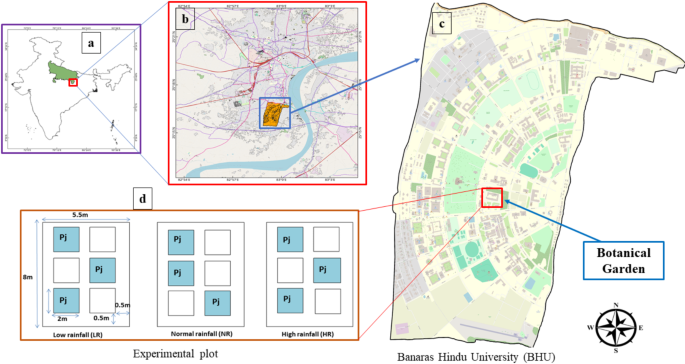 The impact of rainfall variability on selected soil properties and ecophysiological traits in Prosopis juliflora invaded plots
