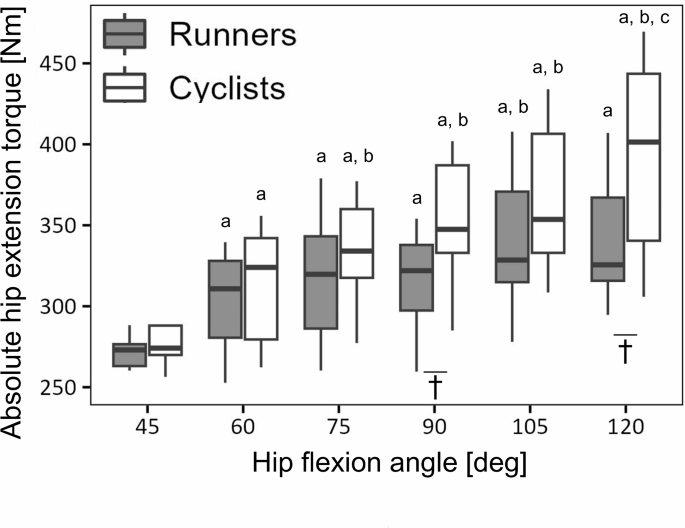 Different morphology and function of hip extensor muscles between ...
