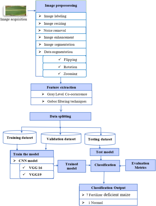 Enhancing Maize Fertilization Predictions with Digital Image Processing and Deep Learning