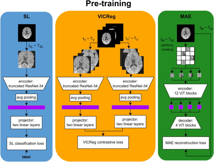Comparative analysis of supervised and self-supervised learning with ...