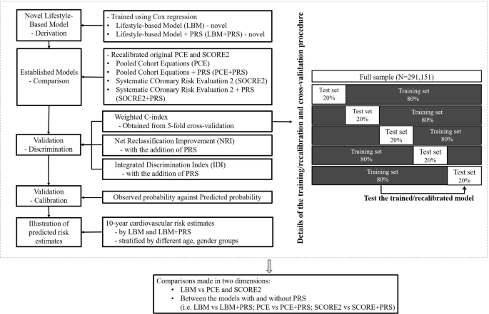 Development, testing and comparison of novel lifestyle-based prediction models for risk of coronary heart disease