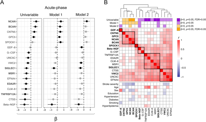Profiling 92 circulating neurobiological proteins identifies novel candidate biomarkers of long-term cognitive outcome after ischemic stroke