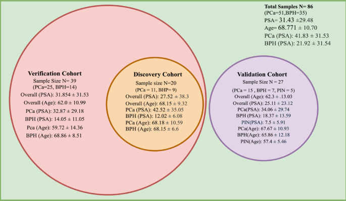 Enhancing Prostate Cancer Diagnosis with miRNA Profiling and Machine Learning