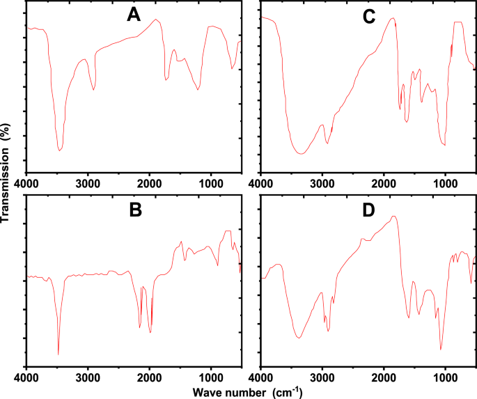 Enhancing potassium availability and dynamics in some Egyptian soils through biochar application - Scientific Reports