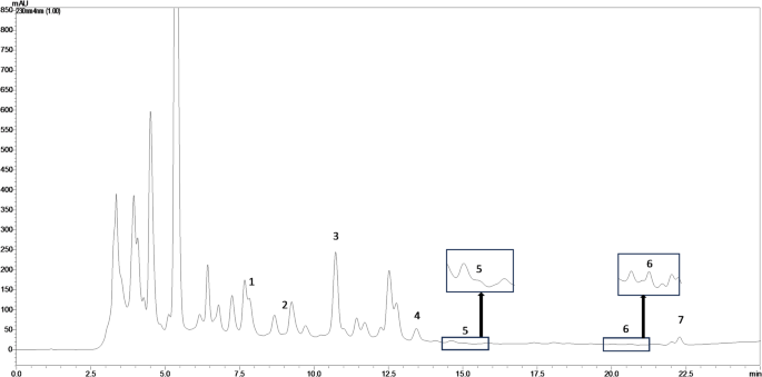 what happens when glutathione is depleted Summary. Depletion of glutathione (GSH) and increased ROS production