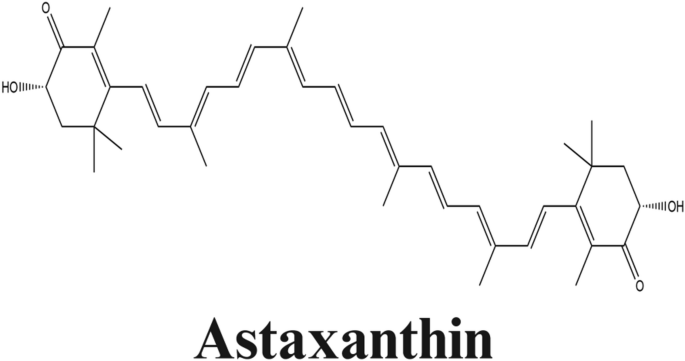 Astaxanthin improve the intestinal microbiota and metabolism after ischemic stroke | Scientific Reports Astaxanthin improve the intestinal microbiota and metabolism after ischemic stroke | Scientific Reports