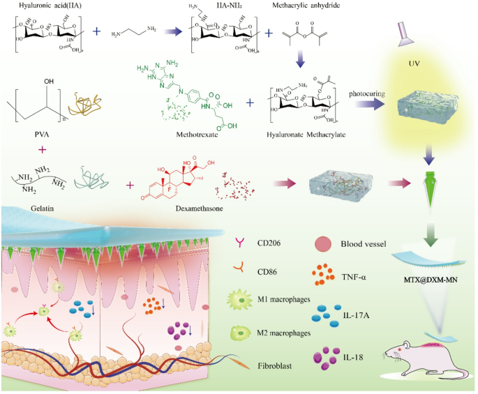 glp 1 nano microneedle patch instructions A bilayered microneedle patch loaded with methotrexate and dexamethasone  for transdermal treatment of psoriasis