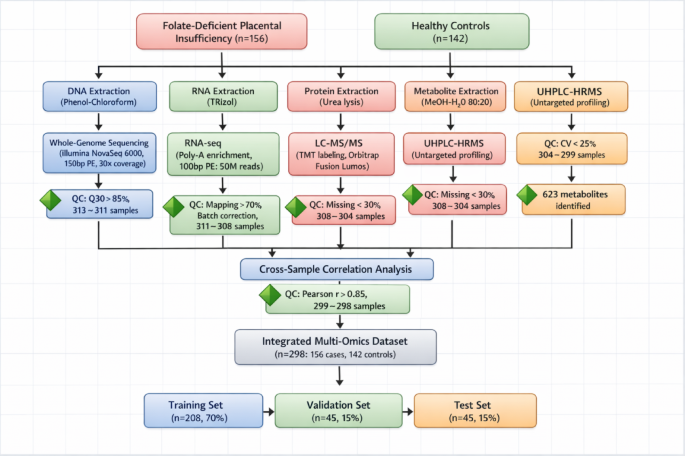 Heterogeneous graph neural networks reveal molecular mechanisms of folate  deficiency in placental insufficiency through multiomics integration |  Scientific Reports