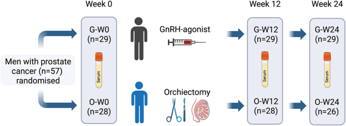 does glutathione make you pee Changes in circulating small non-coding RNAs after castration in a cohort of prostate cancer patients