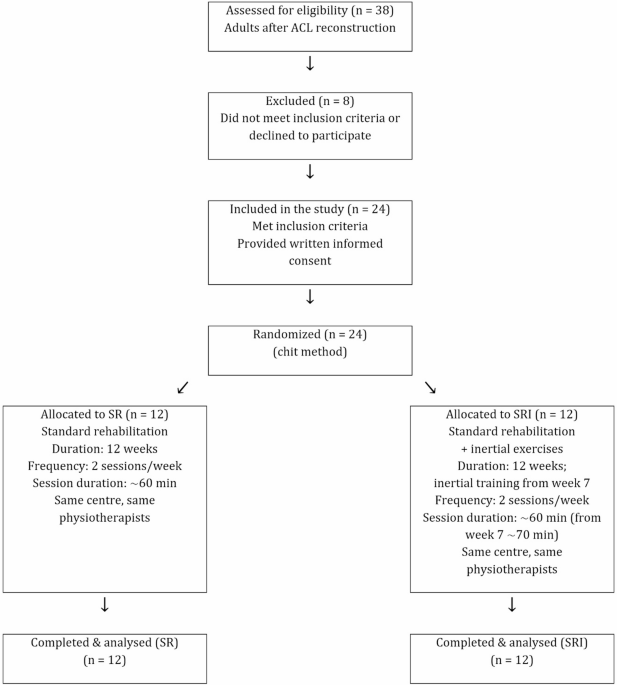 Effects of early inertial exercises on morphological and functional recovery after ACL reconstruction