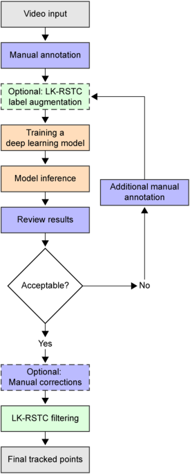DUSTrack: Semi-automated point tracking in ultrasound videos