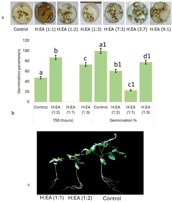 Evaluation of allelopathic potentialities of an invasive taxon,  Mesosphaerum suaveolens (L.) Kuntze, and bio-assay-guided identification of  the involved allelochemicals | Scientific Reports