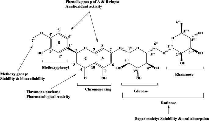 Development of hesperidin loaded lipid-chitosan nanoparticles: physicochemical characterization, molecular docking and ex vivo study | Scientific Reports Development of hesperidin loaded lipid-chitosan nanoparticles: physicochemical characterization, molecular docking and ex vivo study | Scientific Reports