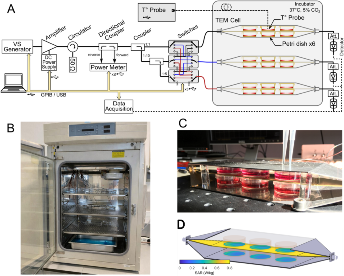 Biological effects of 5G-modulated 700 MHz RF-EMF exposure on neuronal and  glial cell models under isothermal conditions | Scientific Reports
