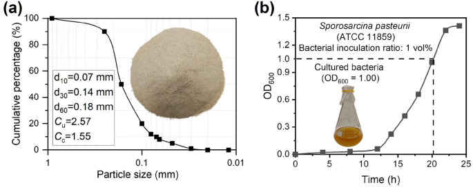 Soil strengthening via temperature-optimized MICP within 20 hours: a laboratory investigation