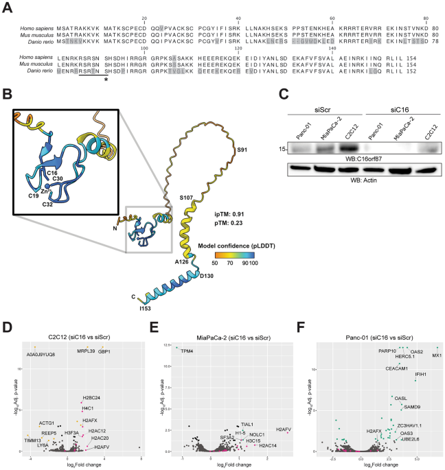 how long it takes for glutathione sepharose to settle Viral action on the auxin signaling repressor IAA16 reveals a conserved negative regulator of plant growth and immunity Assembly mechanism of Integrator's RNA