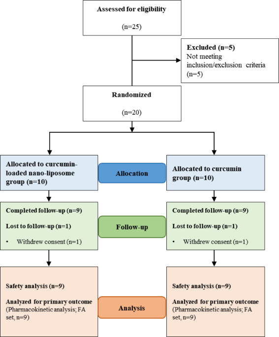 Enhanced bioavailability of a novel double-layered nano-liposomal curcumin (BNT–C060): a randomized, double-blind, clinical trial