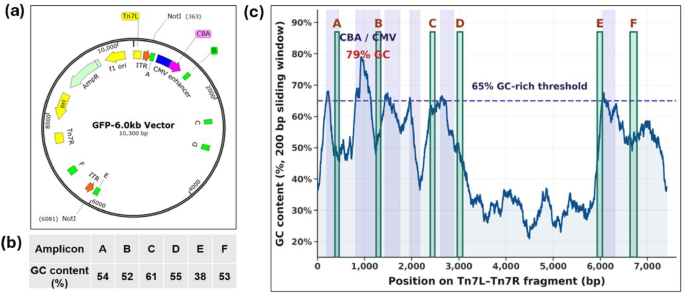 GC-rich areas have an effect on amplification effectivity of neighboring amplicons in qPCR and digital PCR