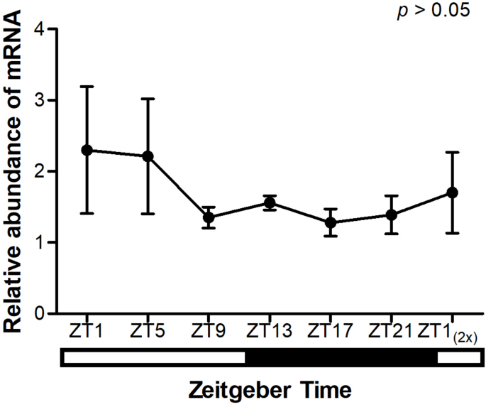 Changes in foraging gene expression of female Aedes aegypti (Diptera: Culicidae) are associated with physiological states and locomotor activity
