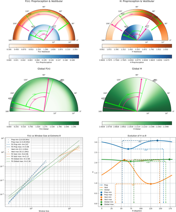 Schizophrenia spectrum disorders show frequency- specific reorganization of postural sway geometry