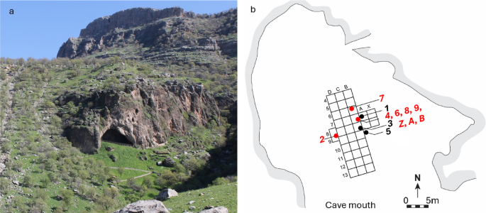 New Shanidar Neanderthal Sheds Light on Mortuary Rites and Traumatic Injury