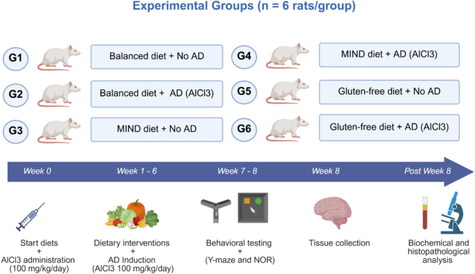 Dietary elimination of gluten attenuates amyloid-β and tau pathology in Alzheimer’s disease-like in aluminum chloride-induced rats: an experimental animal study