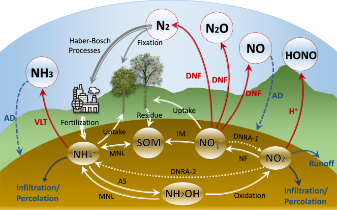 Addressing nitrogenous gases from croplands toward low-emission