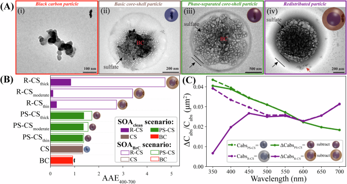 Absorption enhancement and shielding effect of brown organic coating on black carbon aerosols