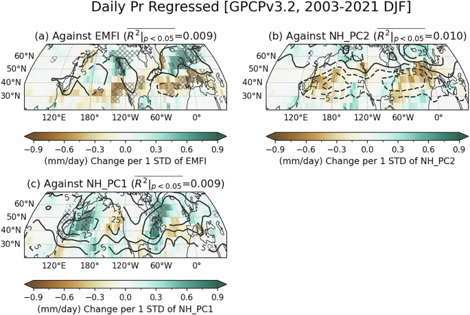 A comparison of the meridional meandering of extratropical precipitation during boreal winter: eddy momentum flux versus eulerian storm tracks