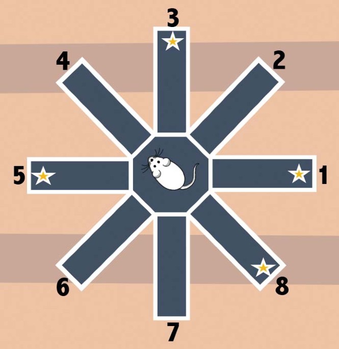 feature-image