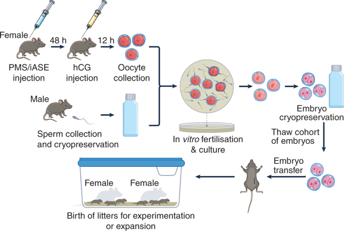 The impact of COVID-19 lockdow...