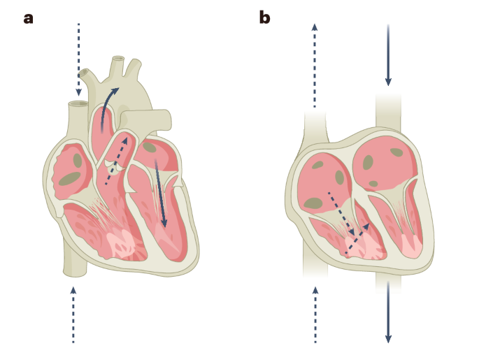 feature-image