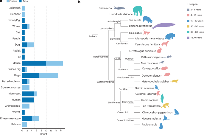 Unconventional animal models of Alzheimer’s disease and aging: key insights from the UAMAA 2026 conference