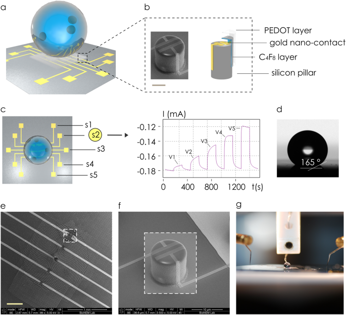 Superhydrophobic lab-on-chip measures secretome protonation state and provides a personalized risk assessment of sporadic tumour npj Precision Oncology picture image