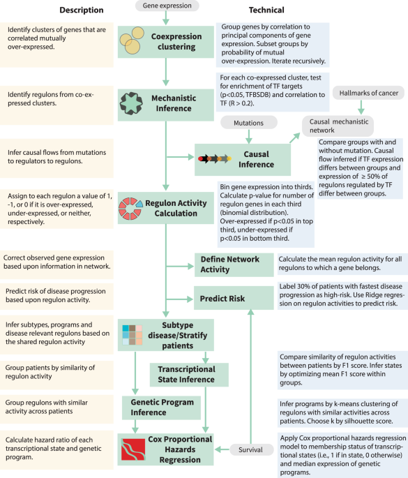 Genetic program activity delineates risk, relapse, and therapy 