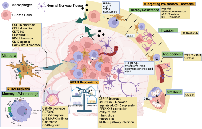 glutathione deficiency testing Your Glutathione Index Defines How Your Cells Are Ageing