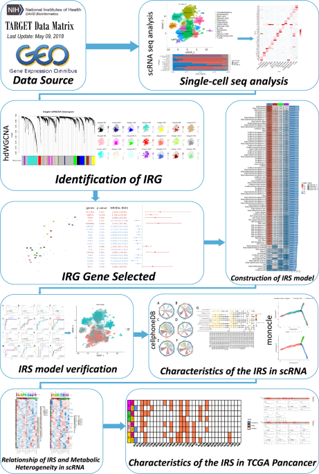 Integrins identified as potential prognostic markers in osteosarcoma ...