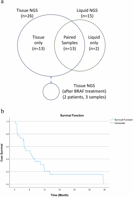 Genomic landscape and comparative analysis of tissue and liquid-based ...