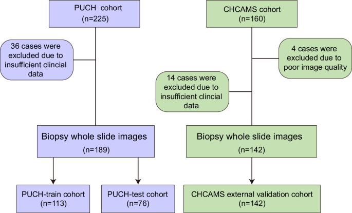 Biopsy image-based deep learning for predicting pathologic response to ...