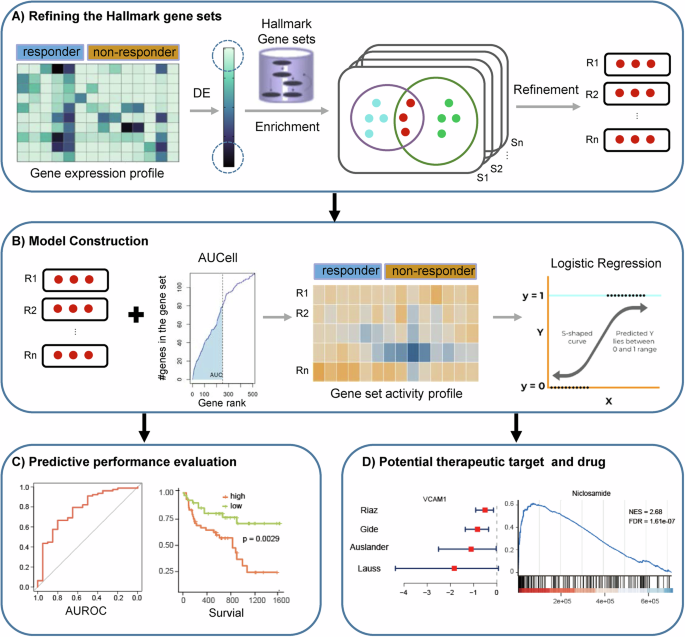 HAPIR: a refined Hallmark gene set-based machine learning approach for predicting immunotherapy response in cancer patients