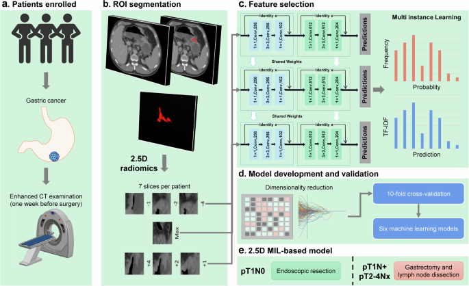 Deep Learning Model for T1N0 Gastric Cancer Diagnosis Using 2.5D Radiomic Data from Preoperative CT Images