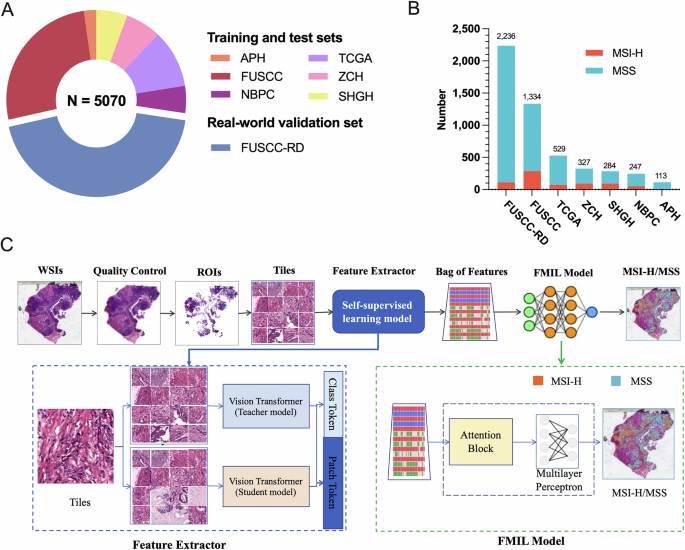 Deepath-MSI: A Clinic-Ready Deep Learning Model for Detecting Microsatellite Instability in Colorectal Cancer Using Whole-Slide Imaging