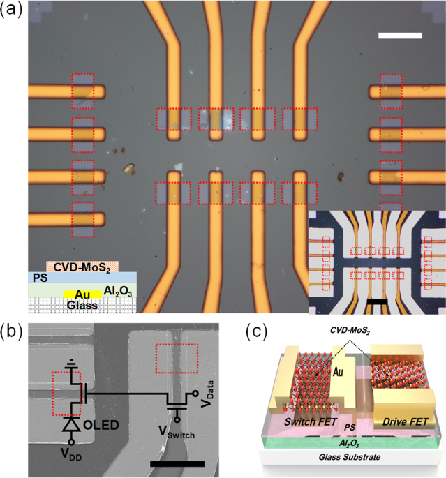 Monolayer MoS 2 fieldeffect transistors patterned by photolithography